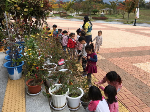 c2b220f219599e7b823b0fdade0f2790.JPG